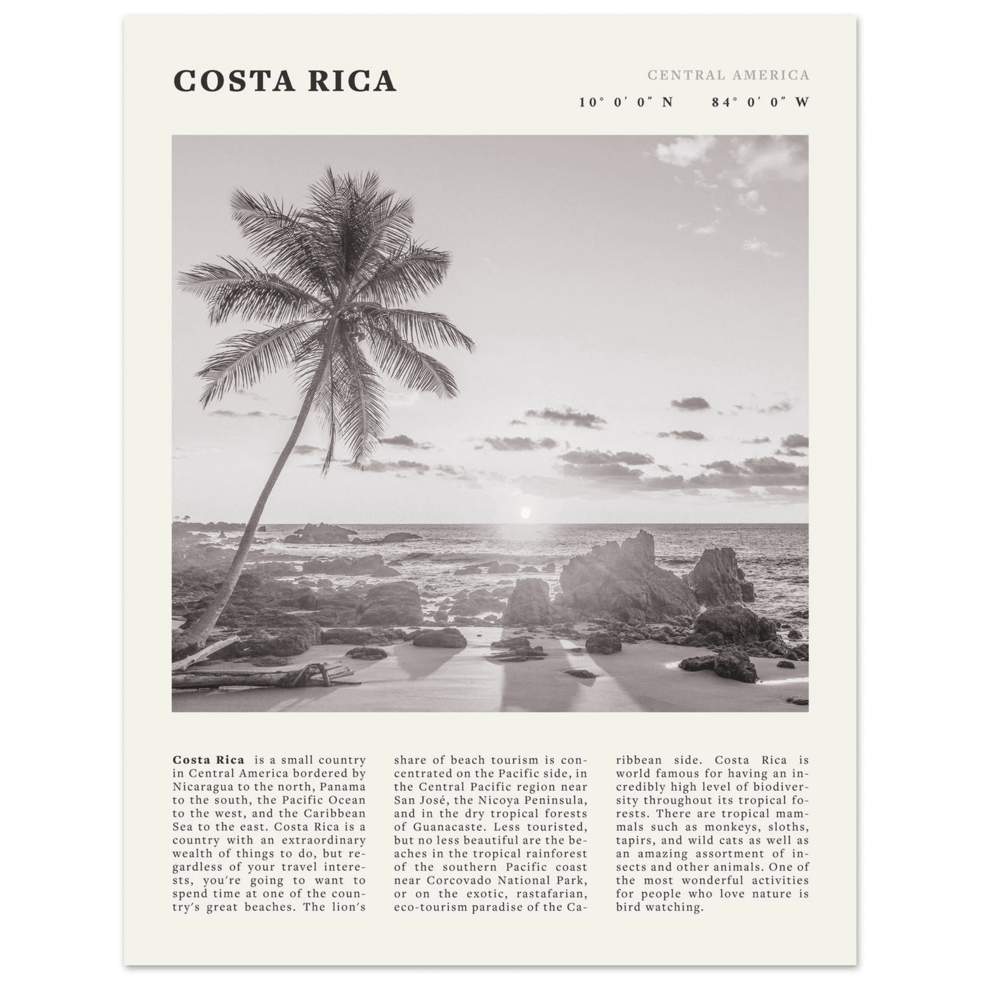 Costa Rica Poster | Black & White Palm Tree Beach Wall Art | Travel Print Decor - Evergreen Posters