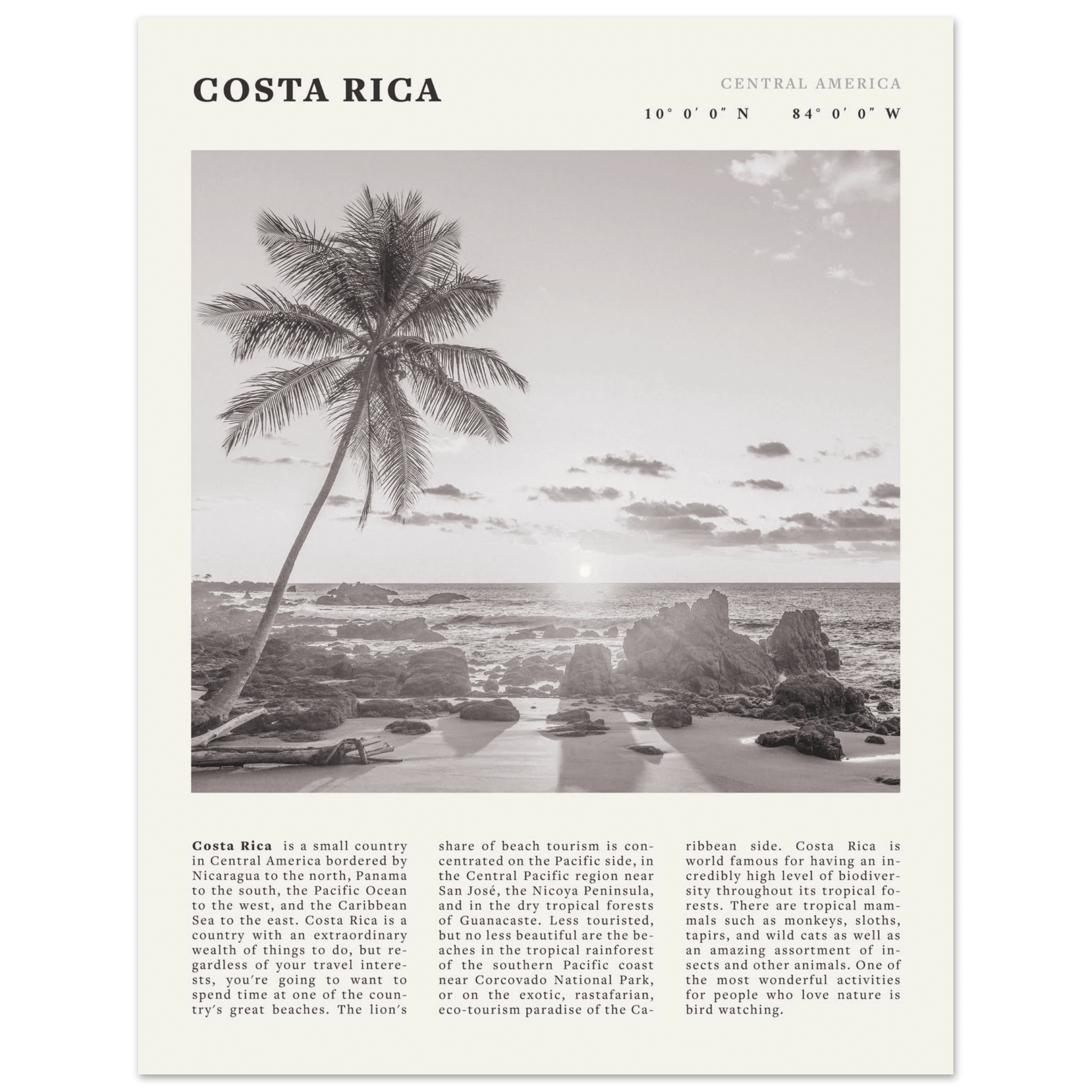 Costa Rica Poster | Black & White Palm Tree Beach Wall Art | Travel Print Decor - Evergreen Posters