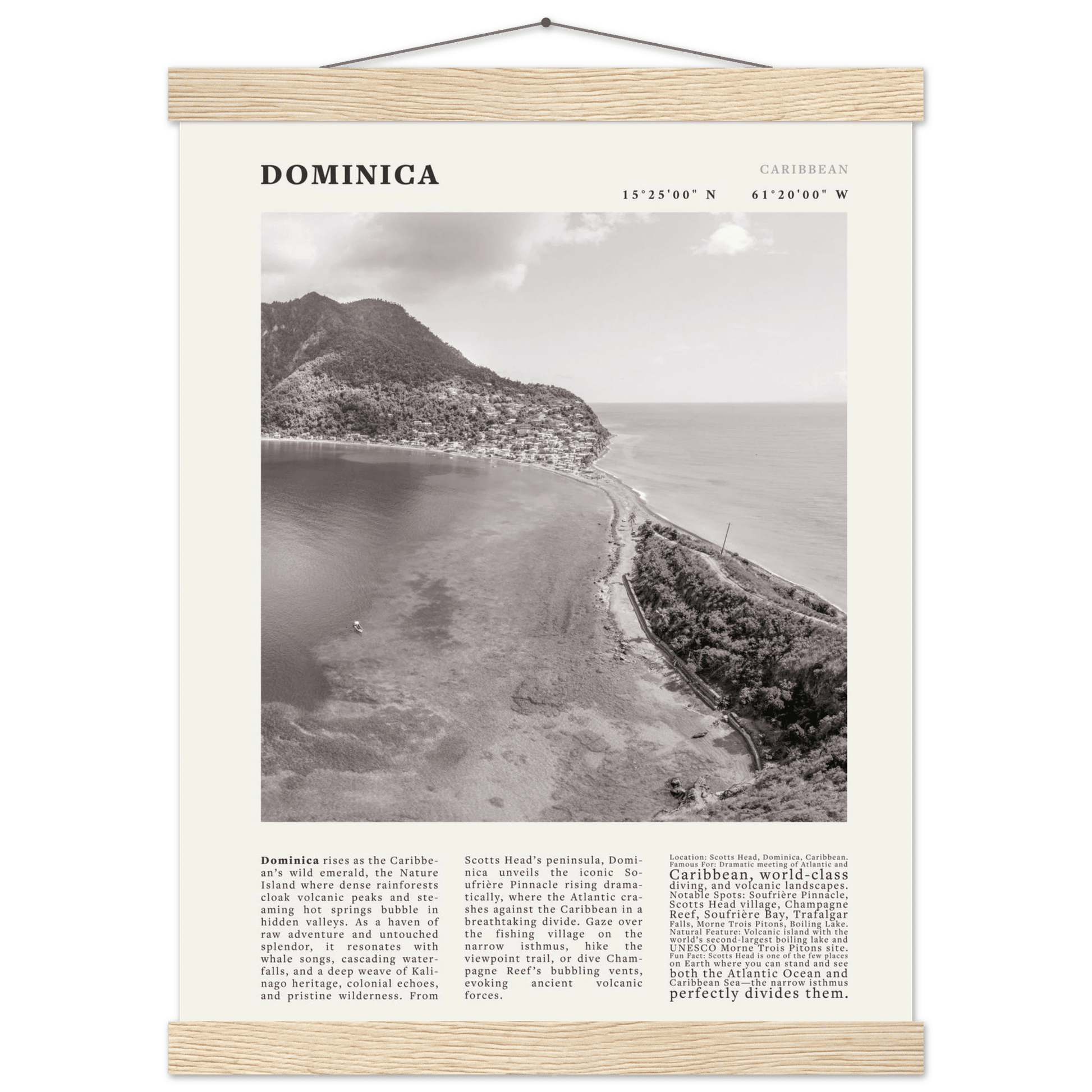 Dominica Poster Black and White – Vintage Caribbean Rainforest Island Print (Digital & Printed Options) - Evergreen Posters