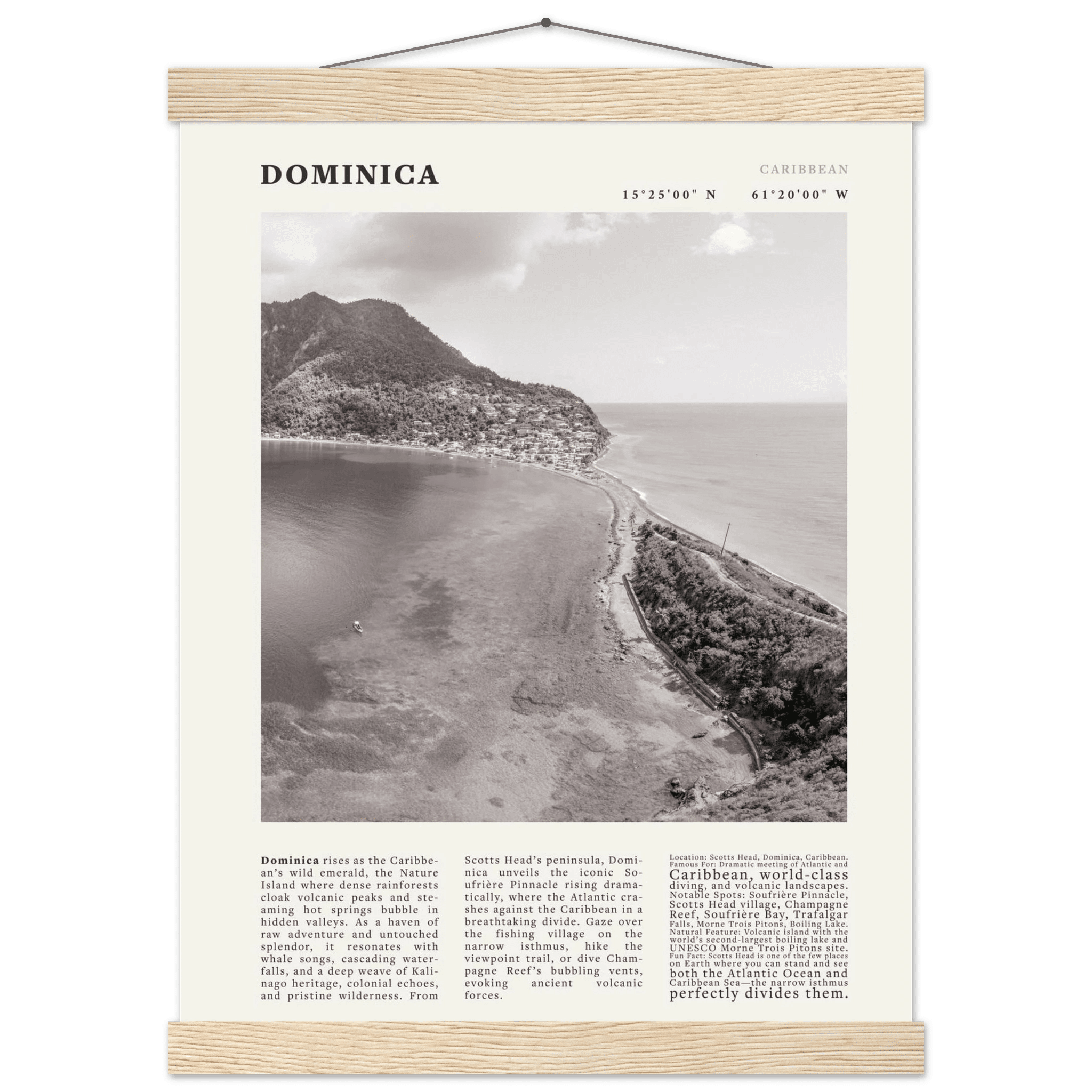 Dominica Poster Black and White – Vintage Caribbean Rainforest Island Print (Digital & Printed Options) - Evergreen Posters