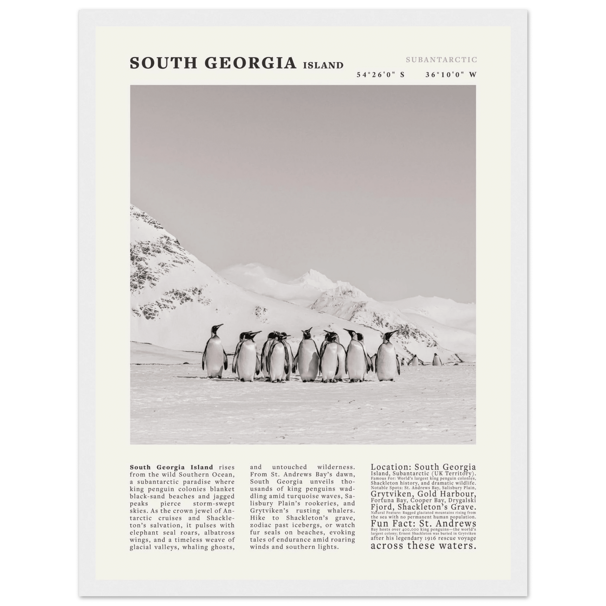 South Georgia Island Black and White Vintage Poster - Evergreen Posters