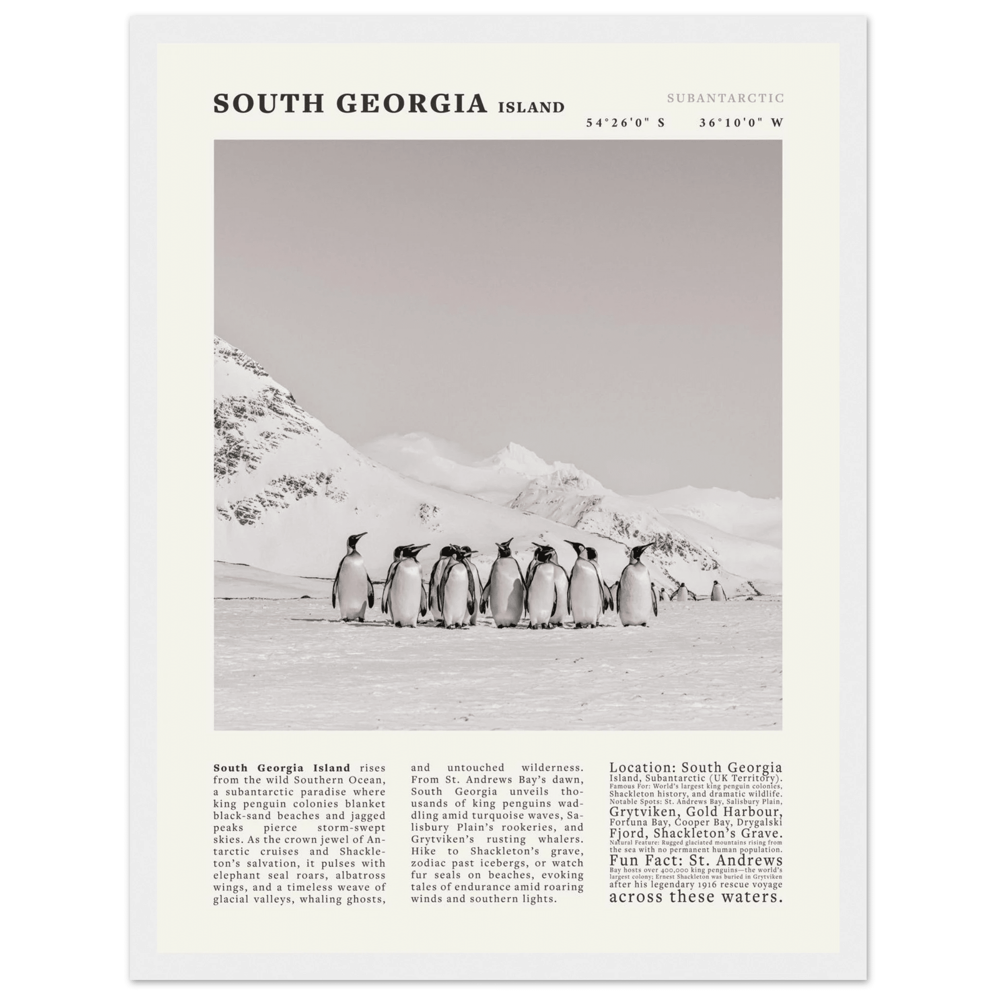 South Georgia Island Black and White Vintage Poster - Evergreen Posters