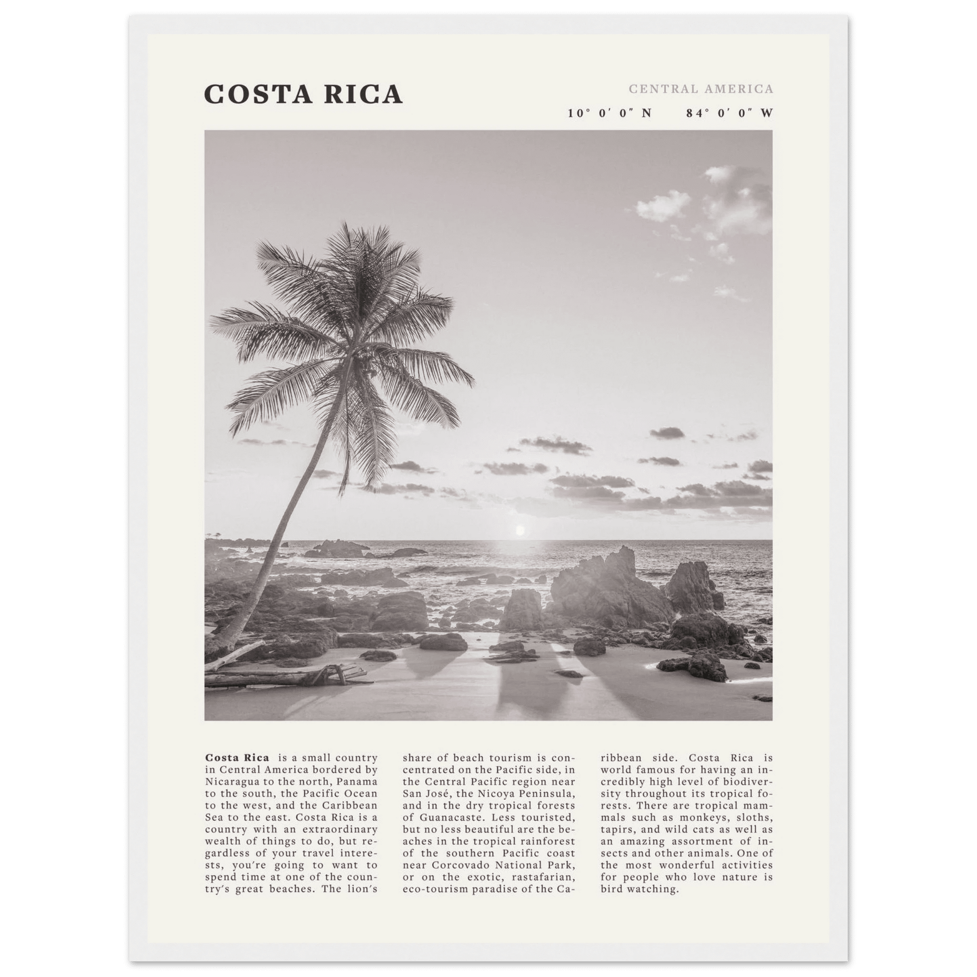 Costa Rica Poster | Black & White Palm Tree Beach Wall Art | Travel Print Decor - Evergreen Posters