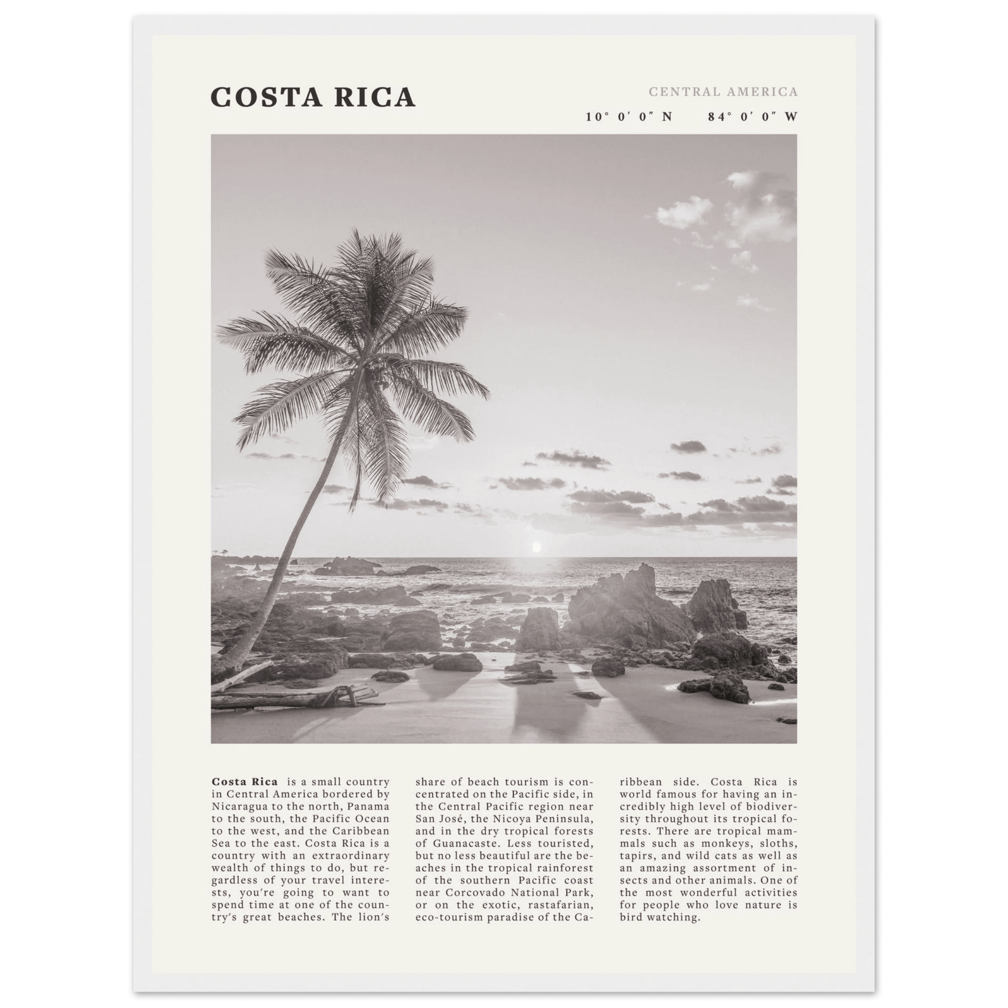 Costa Rica Poster | Black & White Palm Tree Beach Wall Art | Travel Print Decor - Evergreen Posters