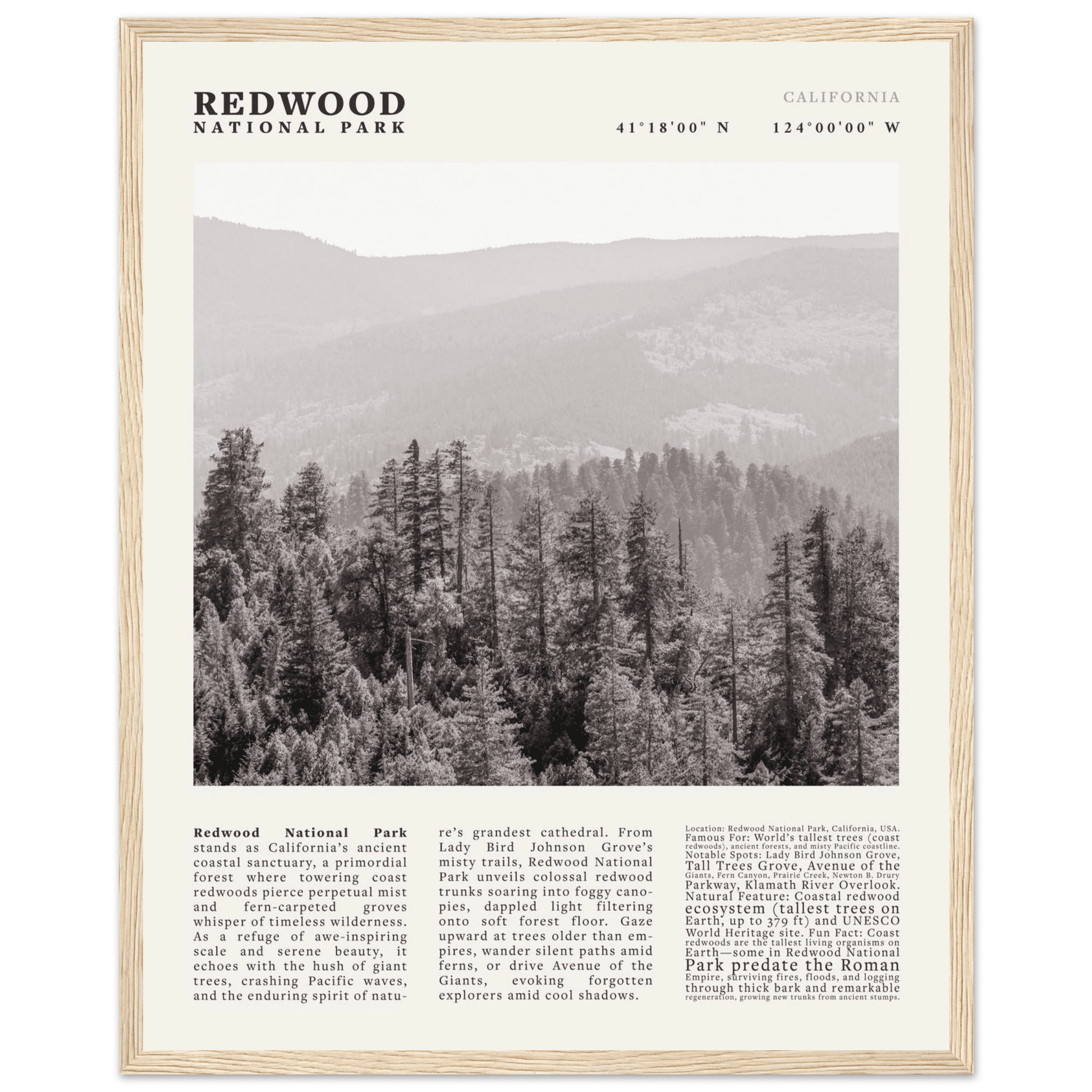Redwood National Park Poster Black and White – Vintage Foggy Redwood Forest Print - Evergreen Posters