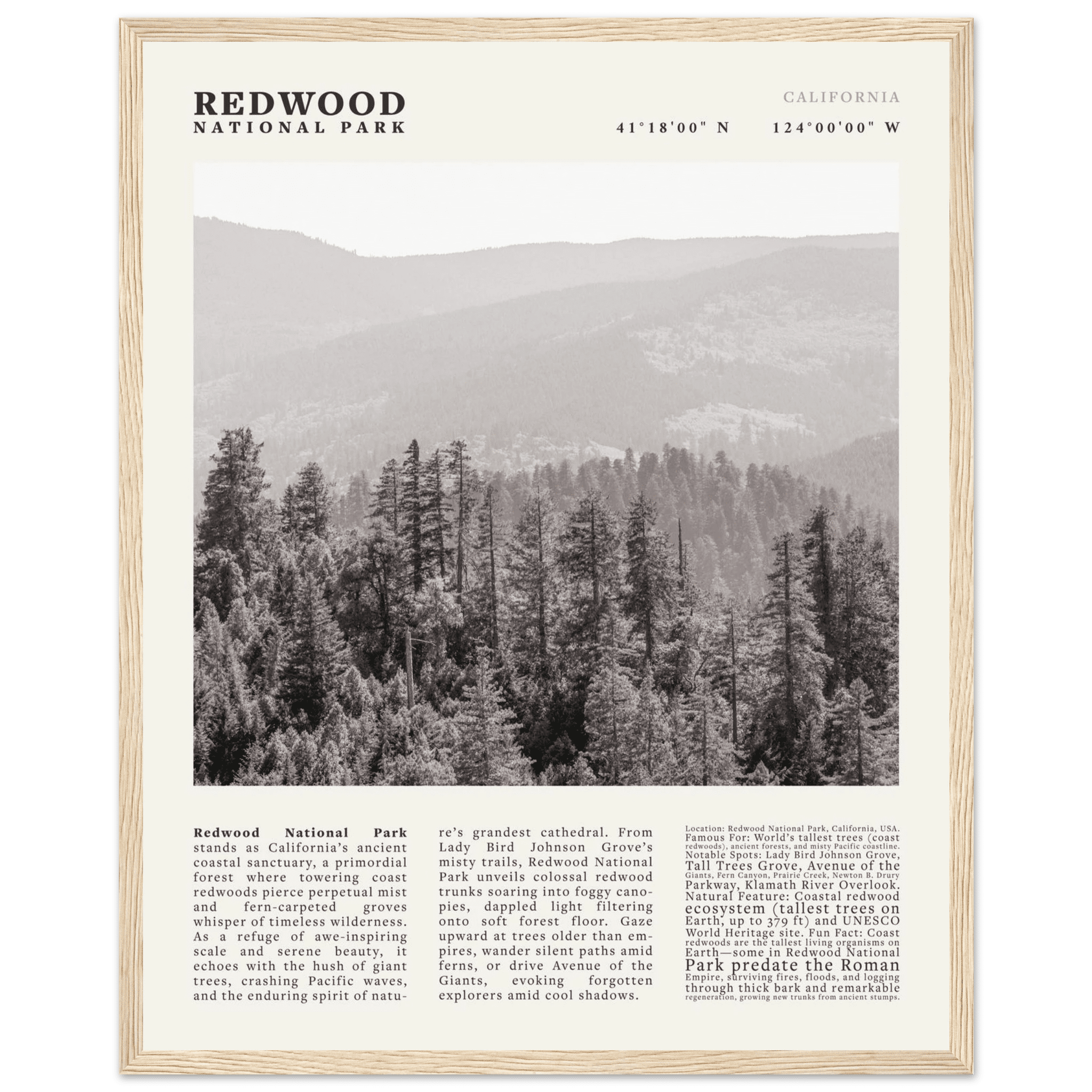 Redwood National Park Poster Black and White – Vintage Foggy Redwood Forest Print - Evergreen Posters