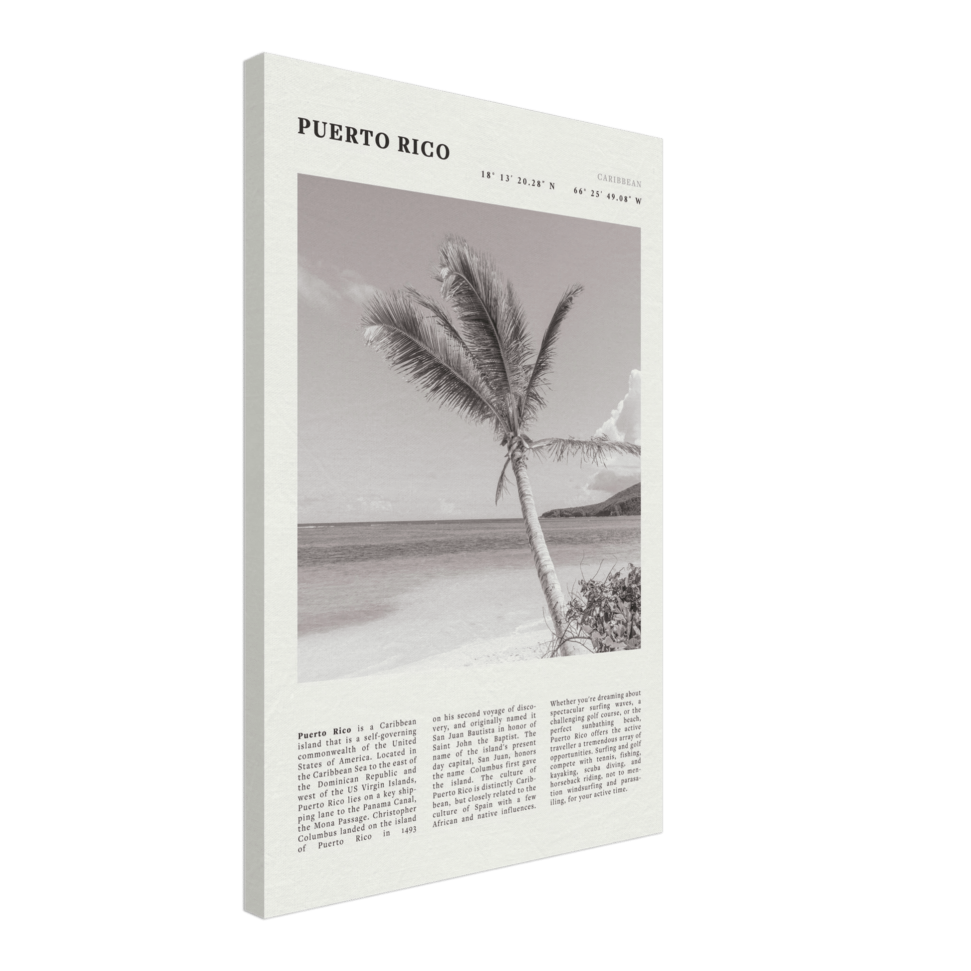 Puerto Rico Poster Black and White – Vintage Caribbean Palm Beach Print (Digital & Printed Options) - Evergreen Posters