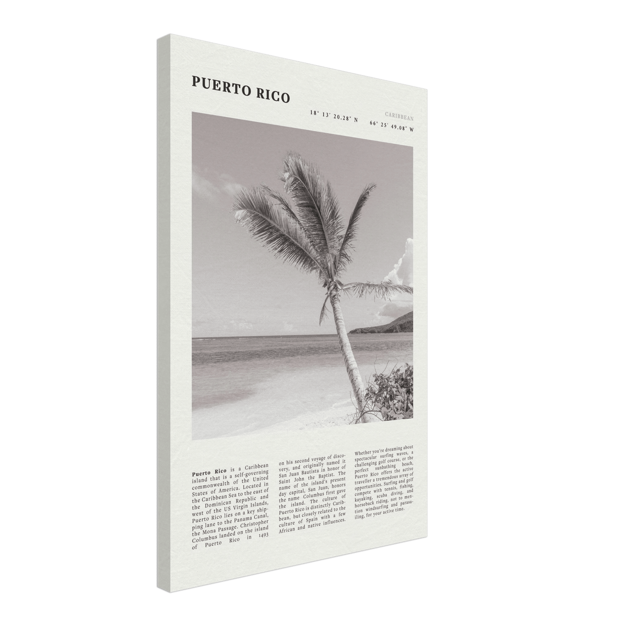 Puerto Rico Poster Black and White – Vintage Caribbean Palm Beach Print (Digital & Printed Options) - Evergreen Posters