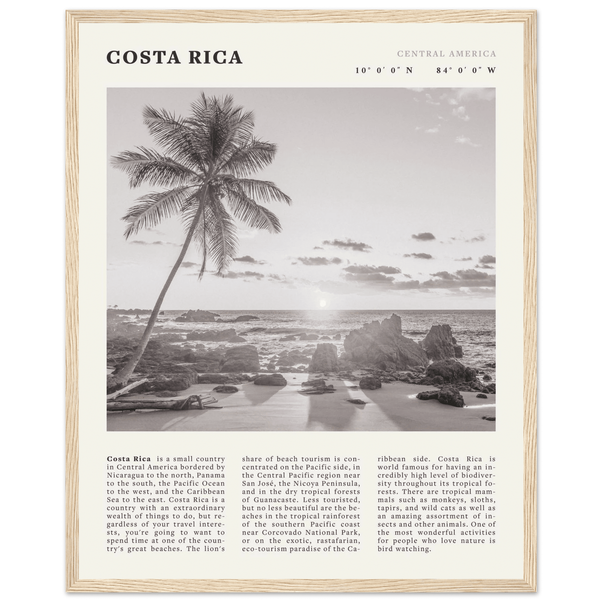Costa Rica Poster | Black & White Palm Tree Beach Wall Art | Travel Print Decor - Evergreen Posters