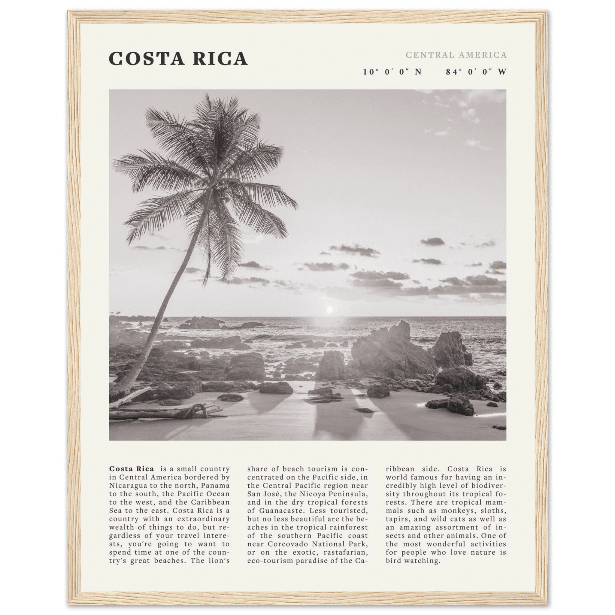 Costa Rica Poster | Black & White Palm Tree Beach Wall Art | Travel Print Decor - Evergreen Posters
