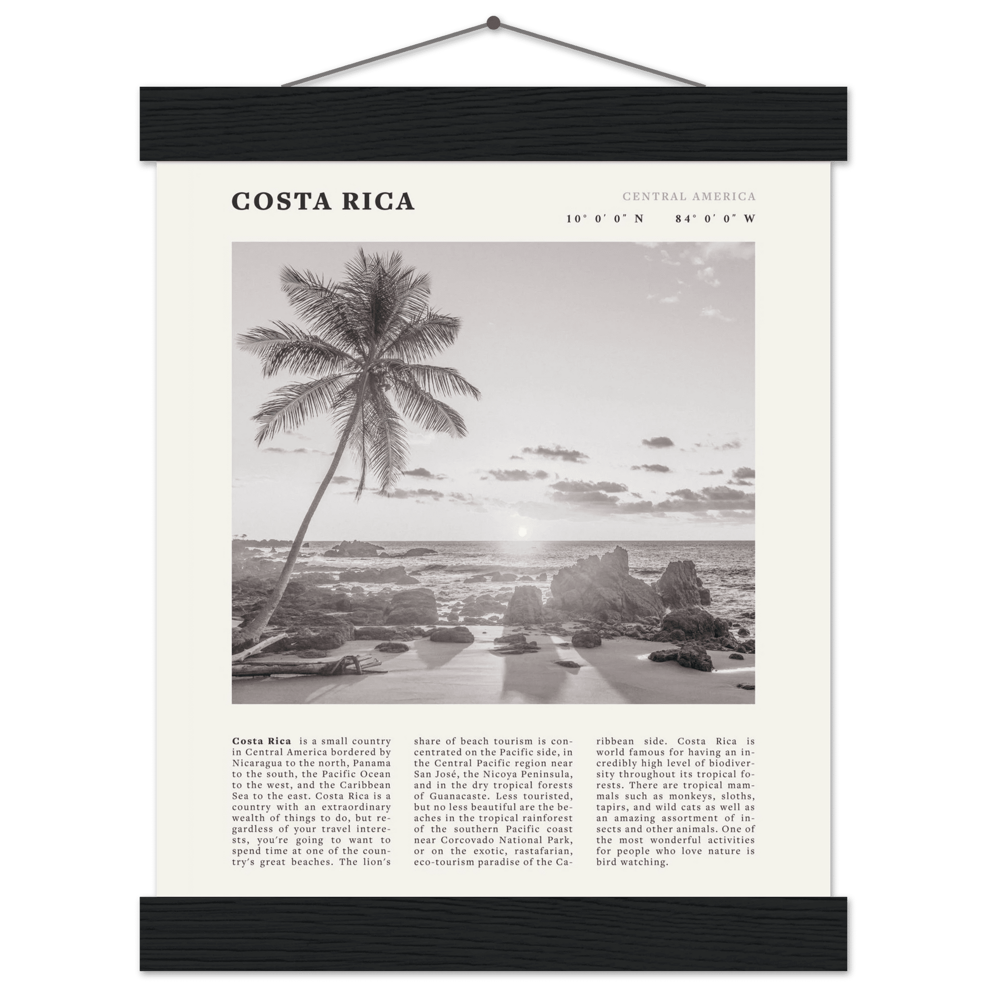 Costa Rica Poster | Black & White Palm Tree Beach Wall Art | Travel Print Decor - Evergreen Posters