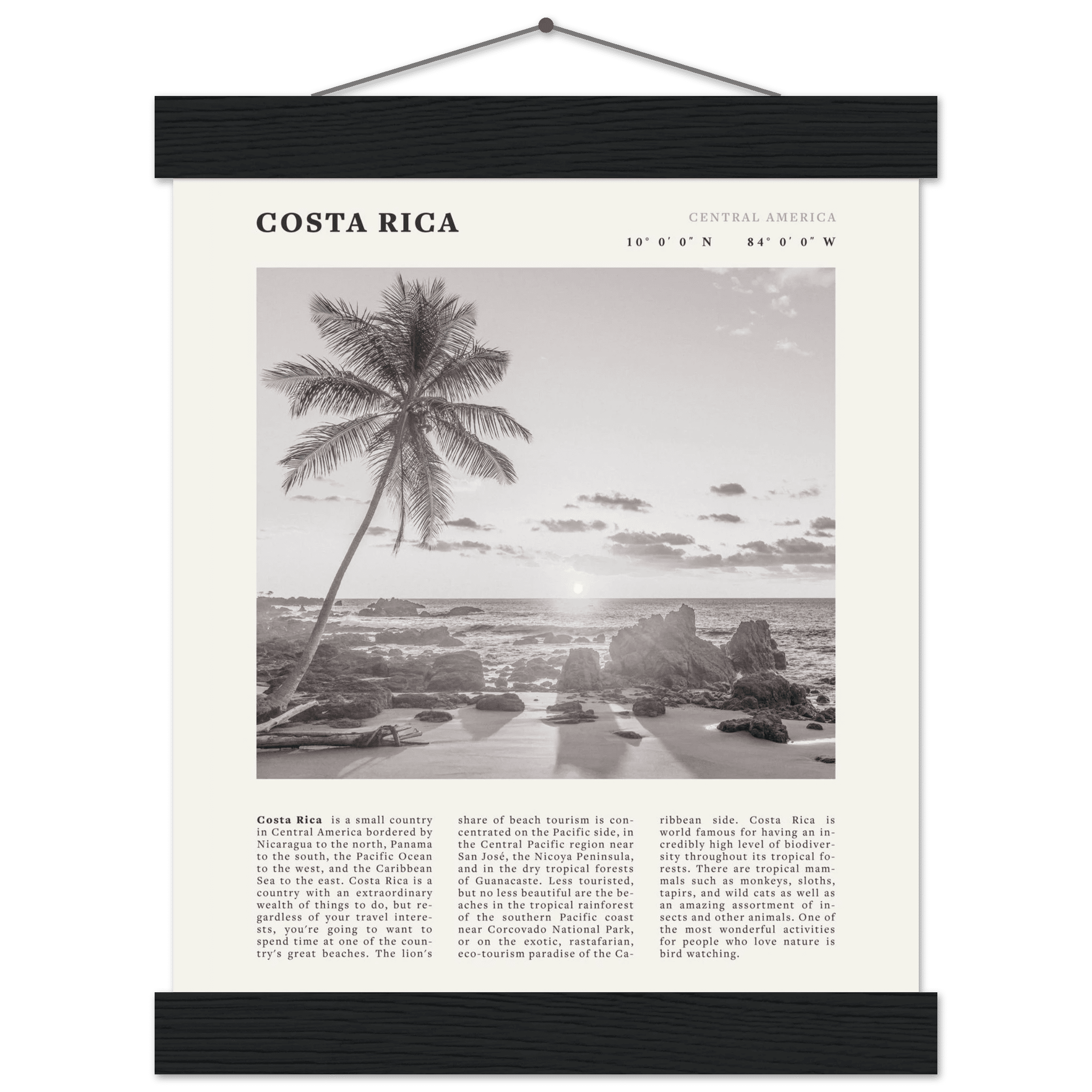 Costa Rica Poster | Black & White Palm Tree Beach Wall Art | Travel Print Decor - Evergreen Posters