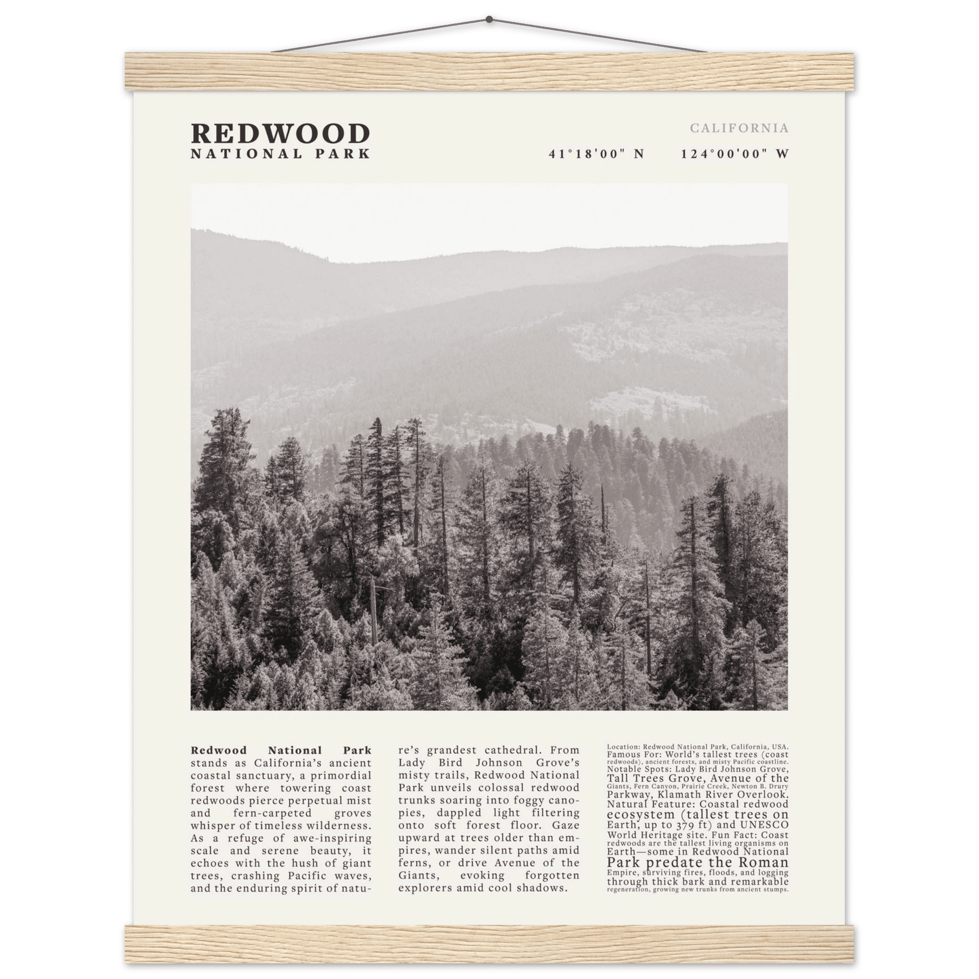 Redwood National Park Poster Black and White – Vintage Foggy Redwood Forest Print - Evergreen Posters