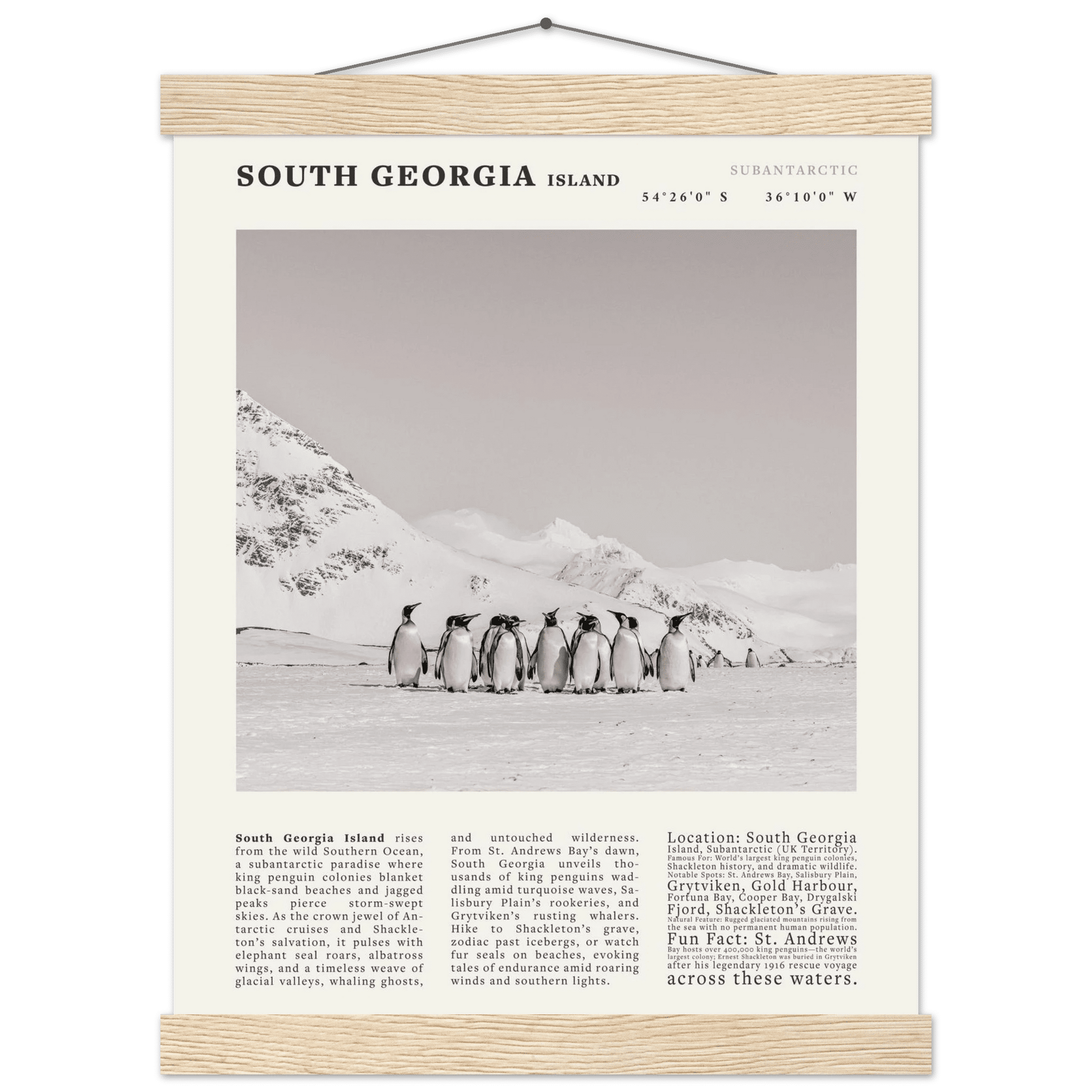 South Georgia Island Black and White Vintage Poster - Evergreen Posters