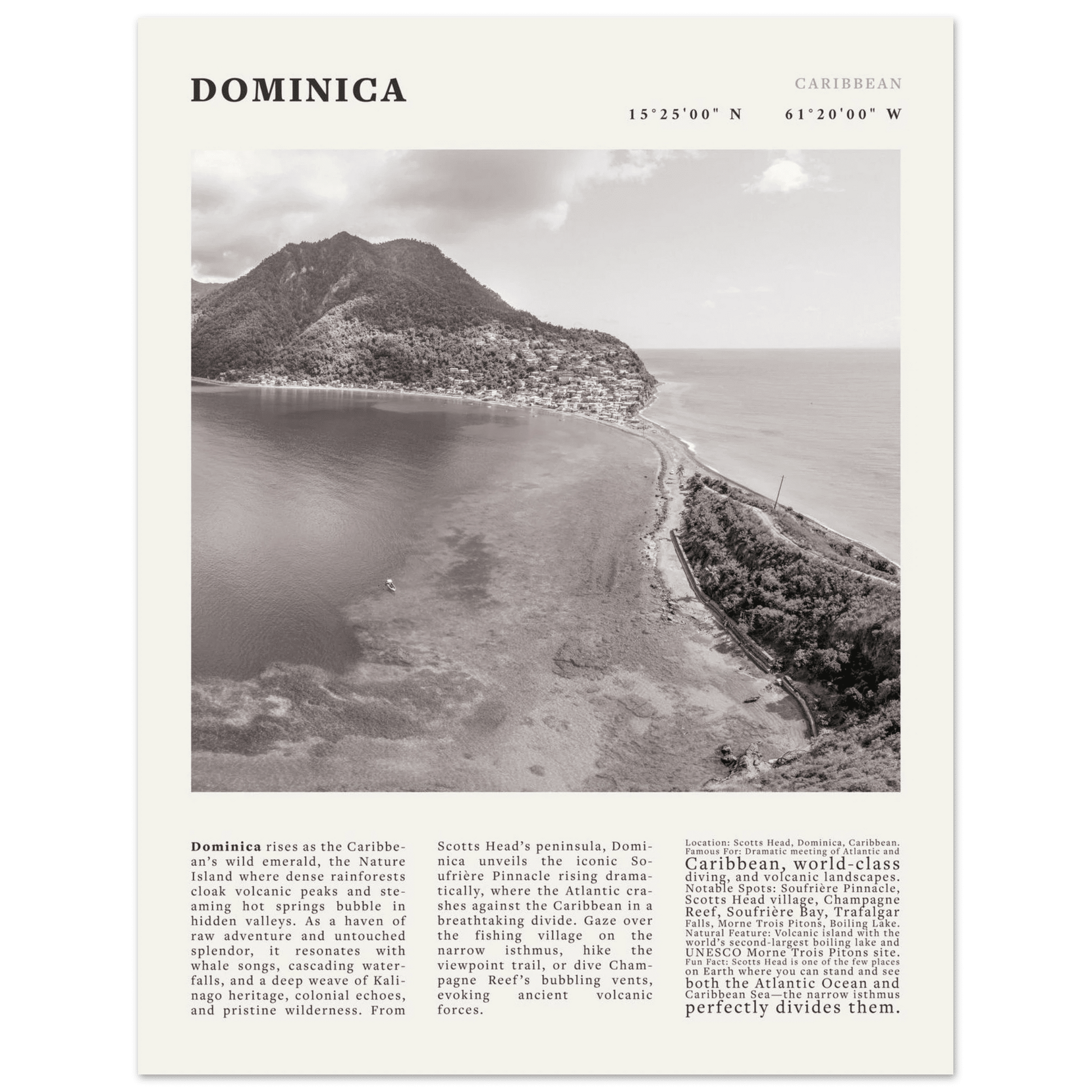 Dominica Poster Black and White – Vintage Caribbean Rainforest Island Print (Digital & Printed Options) - Evergreen Posters