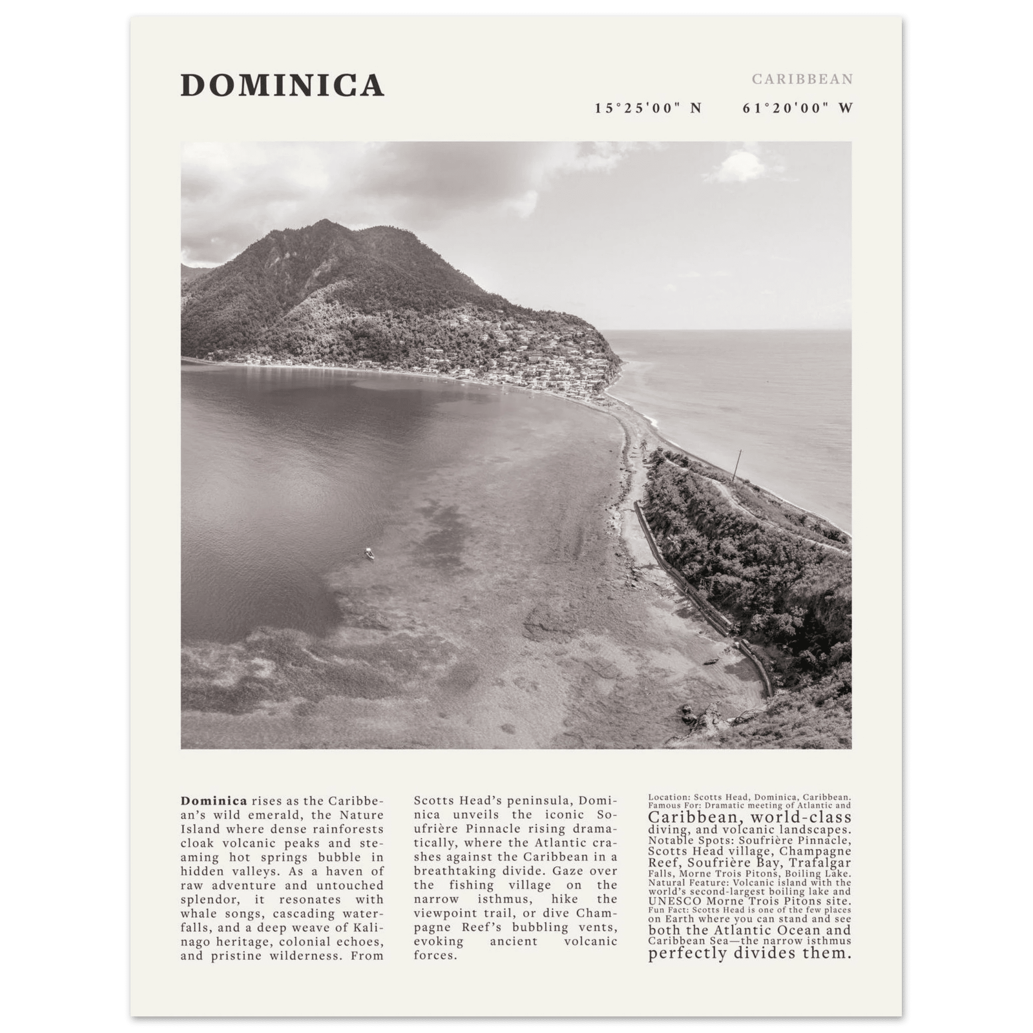 Dominica Poster Black and White – Vintage Caribbean Rainforest Island Print (Digital & Printed Options) - Evergreen Posters