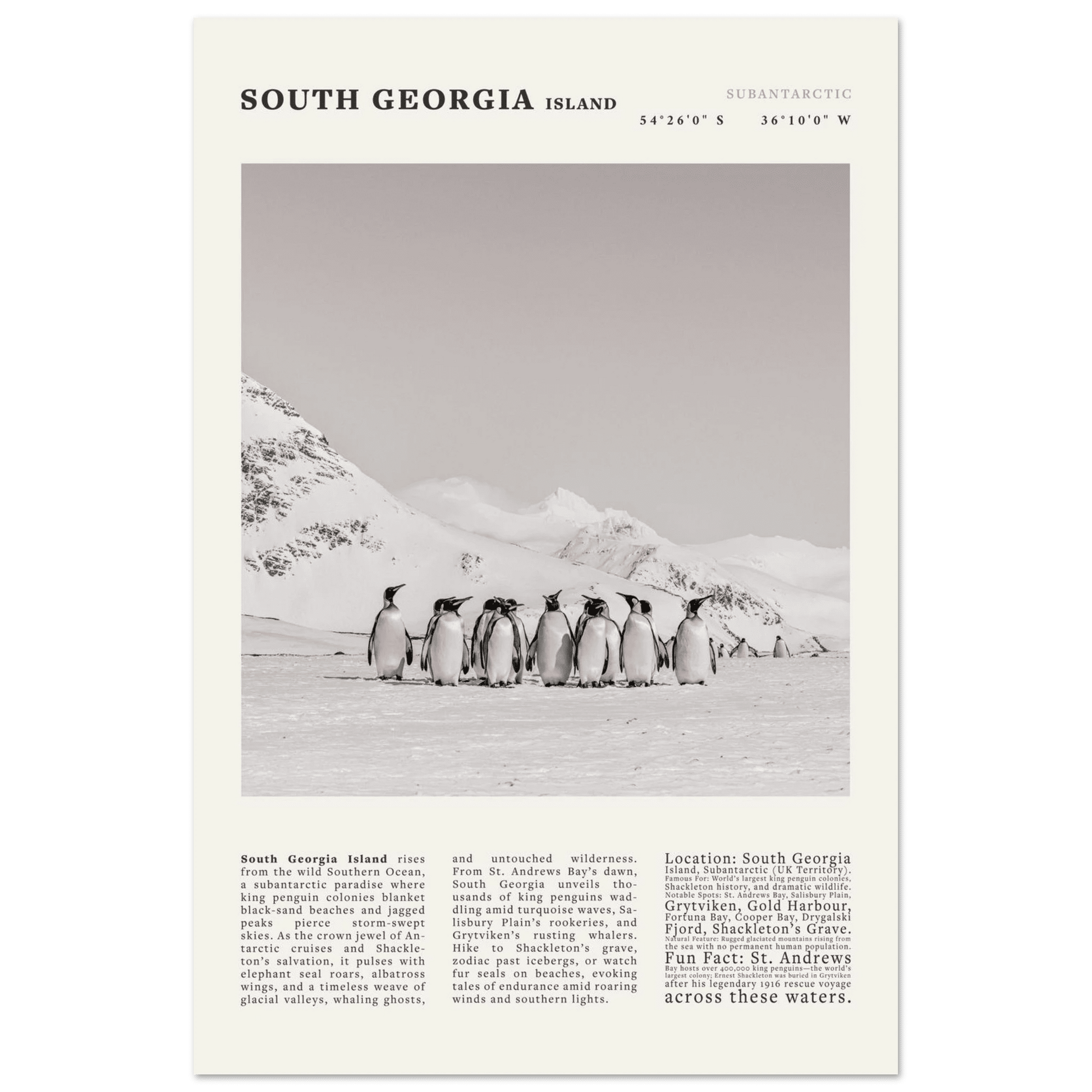 South Georgia Island Black and White Vintage Poster - Evergreen Posters