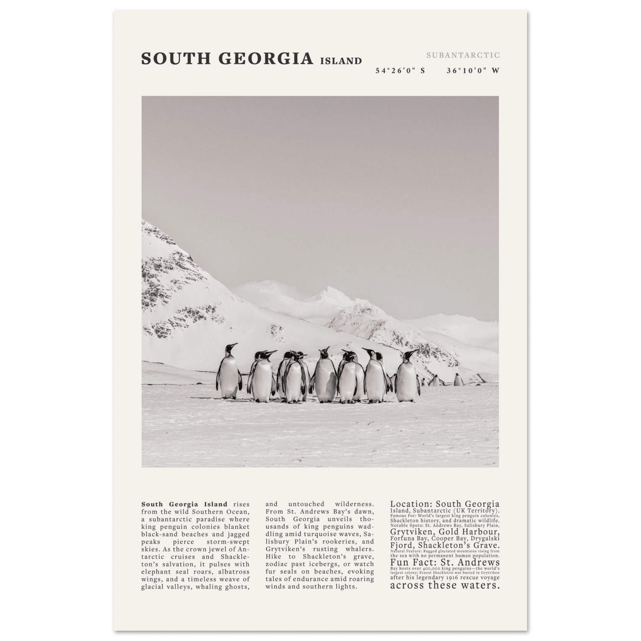 South Georgia Island Black and White Vintage Poster - Evergreen Posters
