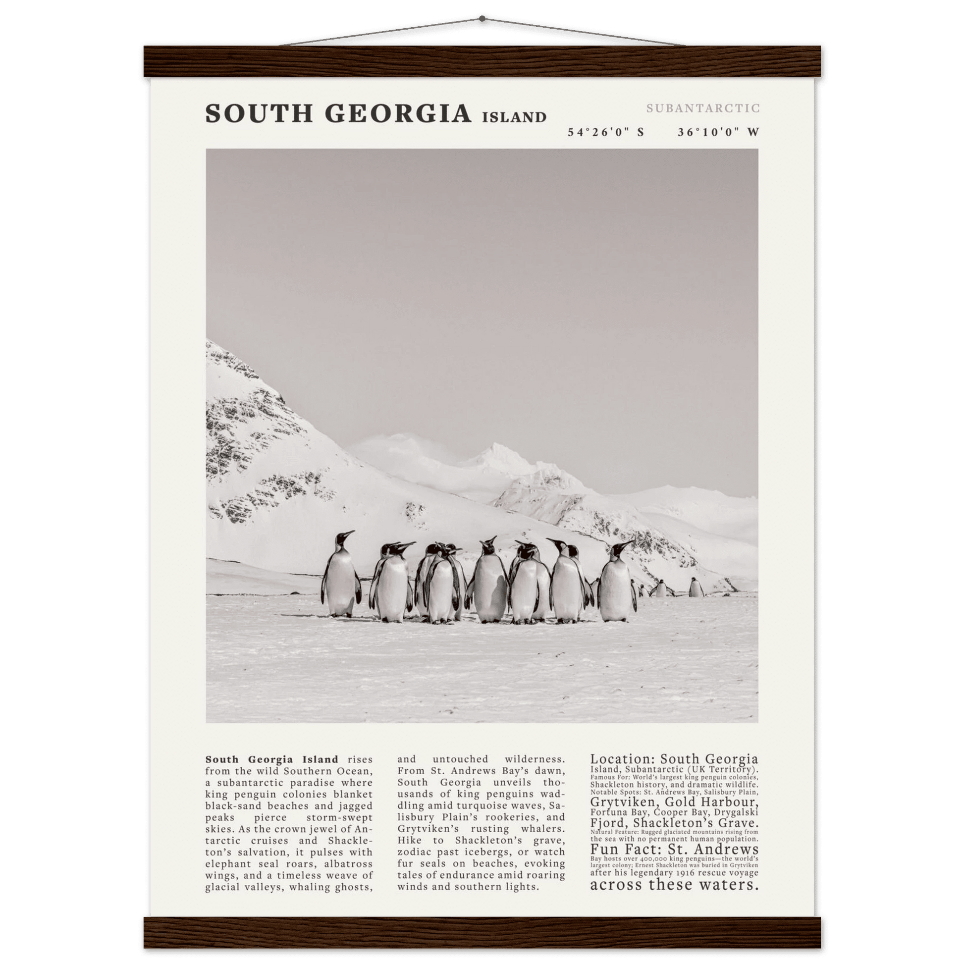 South Georgia Island Black and White Vintage Poster - Evergreen Posters