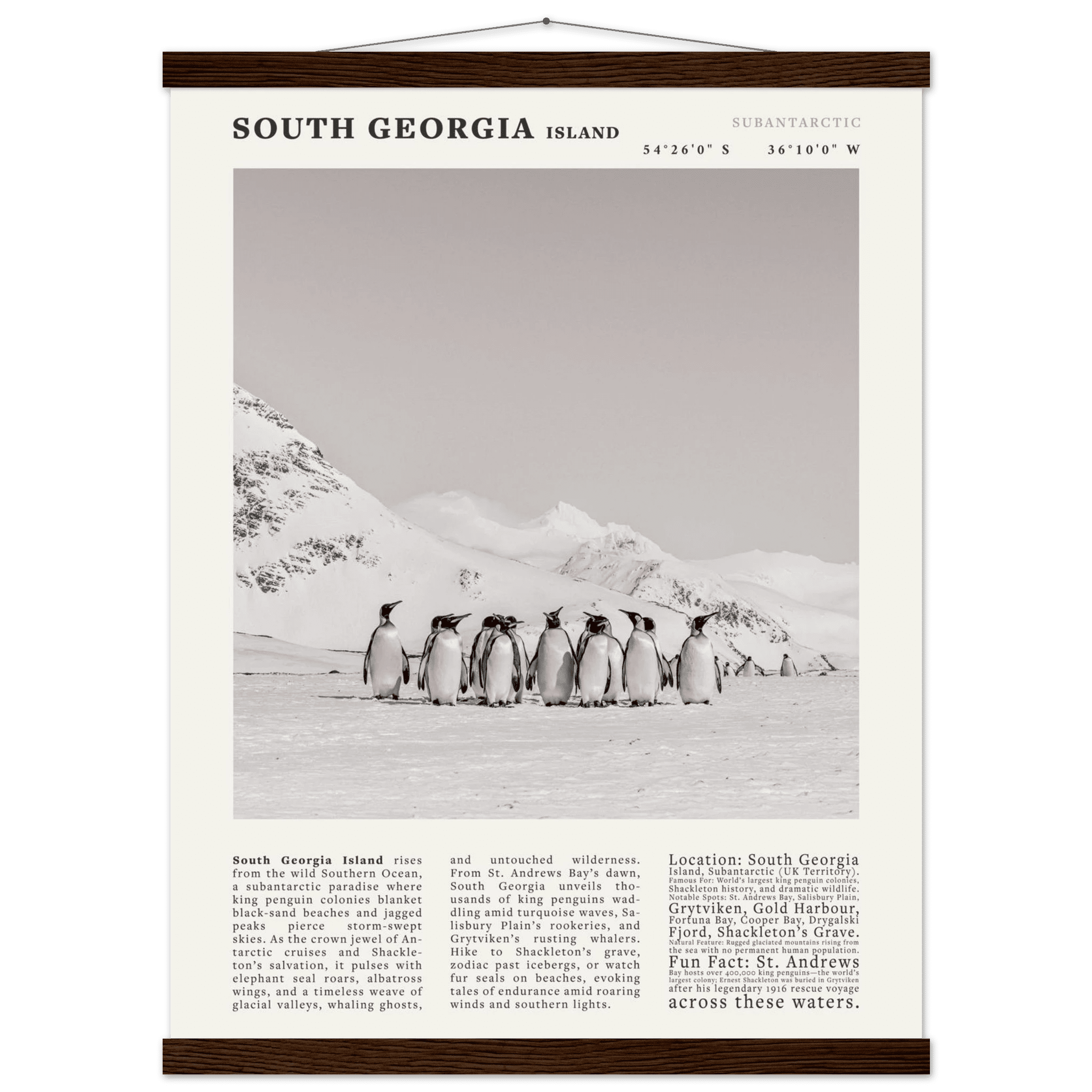 South Georgia Island Black and White Vintage Poster - Evergreen Posters